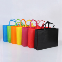 EPB003  Design non-woven bag Customized green tote bag Supply green bag Eco bag manufacturer Eco bag price 45 degree